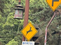 -奈良公园