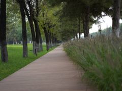 -汉长安城未央宫国家考古遗址公园