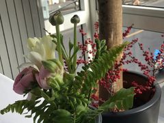 -蝶舍·MAISON PAPILLON