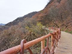 -少华山国家森林公园