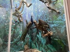 -国家自然博物馆