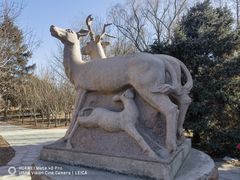 -北京麋鹿生态实验中心