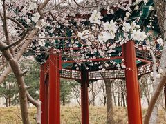 -北坞公园