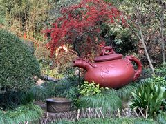 -十八棵（老龙井）御茶园(老龙井店)