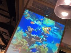 -鲜潭蒸汽石锅鱼(五道口购物中心店)