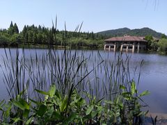 -良渚文化村