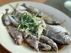 -隔田烧鸡