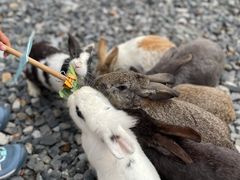 -同里湖大饭店-怡景轩中餐厅(同里古镇店)