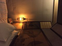 海河英迪格酒店-天津津利华酒店