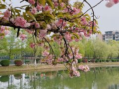 -宝岛公园