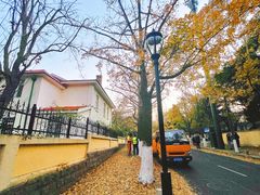 -八大关景区