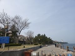 -悦海公园
