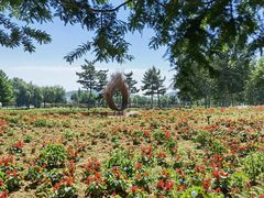 -羊亭河湿地公园