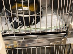 -美联众合动物医院·24h京西诊疗中心