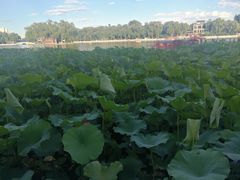 -小王府(什刹海店)