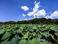 -古田会议纪念馆