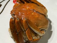 -椿不老