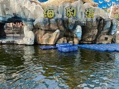 -华夏文旅海洋公园