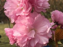 -樊记王·朝阳烧烤粥吧(星沙店)