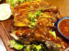 -茉莉.Red Crab