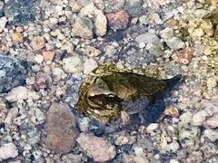 -碓臼峪自然风景区