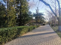 -玲珑塔公园