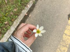 -西安浐灞国家湿地公园
