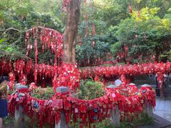 -梧桐山风景名胜区