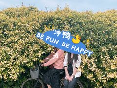 -硇洲岛旅游区