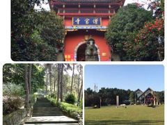 -铁山坪森林公园