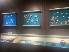 -青岛贝壳博物馆