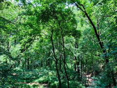 -北京上方山国家森林公园