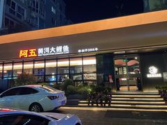 -阿五黄河大鲤鱼(建业路店)