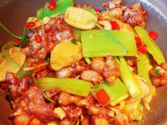 嫩子姜烧牛蛙-吃饭皇帝大(解放西路店)