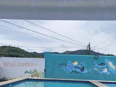 -趣玩宠物乐园寄养训犬训狗游泳池