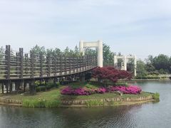 -上海鲜花港