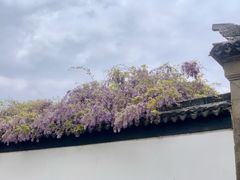 -苏州园林博物馆