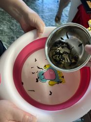 -小博士专业婴儿理发