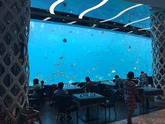 -瑞德姆美人鱼海底演艺主题餐厅(亚龙湾店)