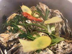 -千岛蚝高压锅生蚝·人参火锅(白云万达店)