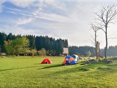 -武陵山森林公园