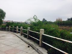 -莱西月湖公园