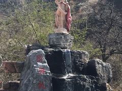 -大岭沟猕猴桃谷风景区