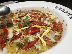 -太二酸菜鱼(沈阳万象城店)
