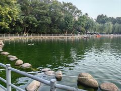 -莲湖公园