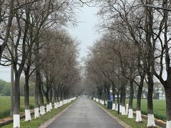 -嘉北郊野公园