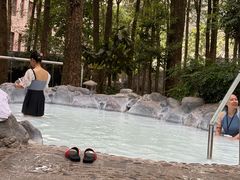 -金方森林温泉