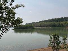 -丁香湖公园