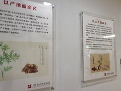 -上海市黄浦区香山中医医院