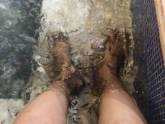 -水晶之星洗浴温泉汗蒸